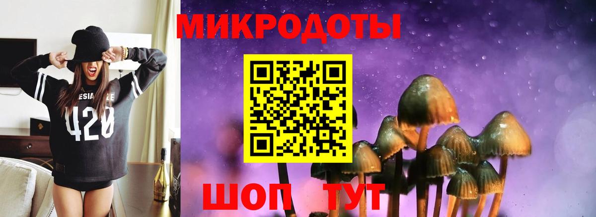 Галлюциногенные грибы прущие грибы Междуреченск